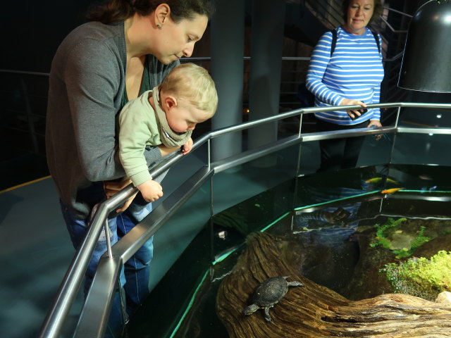 Sabine und Nils im Nationalparkhaus aquaprad in Prad am Stilfserjoch, 915 m (23. Mai)