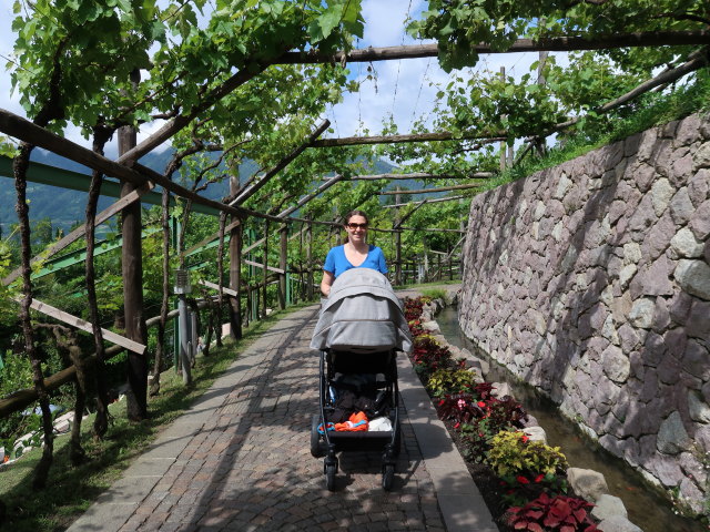 Sabine in den Gärten von Schloss Trauttmansdorff in Meran (24. Mai)