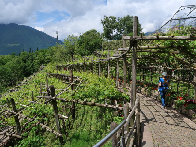 Sabine in den Gärten von Schloss Trauttmansdorff in Meran (24. Mai)