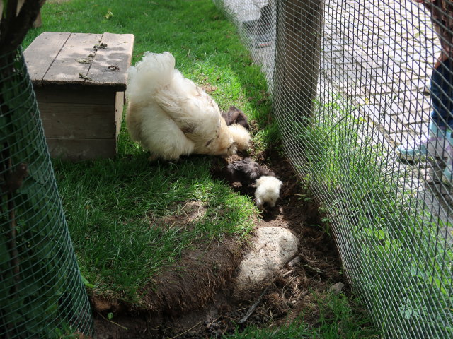 Gärten von Schloss Trauttmansdorff in Meran (24. Mai)