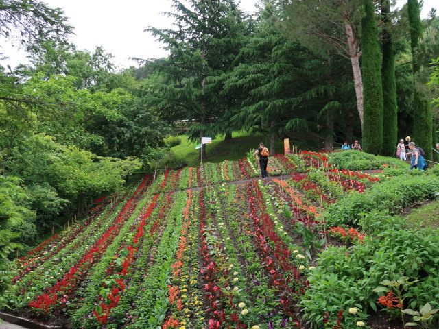 Gärten von Schloss Trauttmansdorff in Meran (24. Mai)