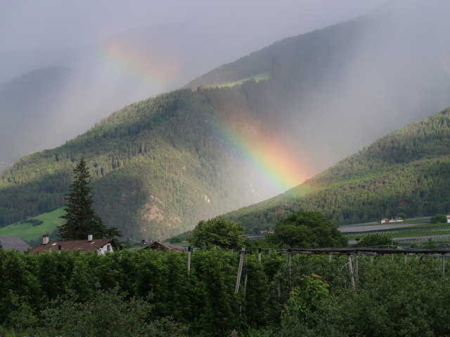 Schleider Tal (18. Mai)