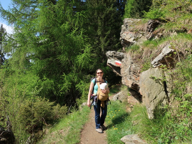 Sabine und Nils am Meraner Höhenweg zwischen Giggelberg und Hochforch (19. Mai)