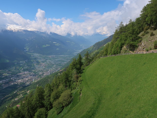 Vinschgau vom Meraner Höhenweg aus (19. Mai)