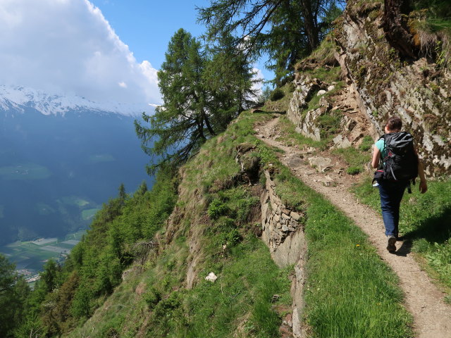 Sabine am Meraner Höhenweg zwischen Pardellbach und Lahnbach (19. Mai)