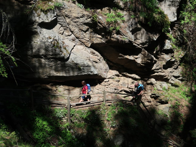 Meraner Höhenweg zwischen Lahnbach und Pirchhof (19. Mai)