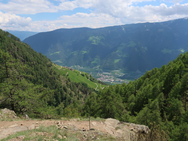 Meraner Höhenweg zwischen Lahnbach und Pirchhof (19. Mai)