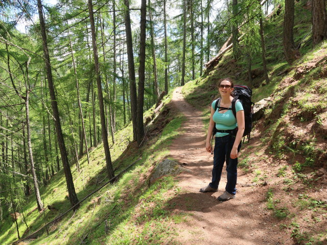 Sabine am Meraner Höhenweg zwischen Lahnbach und Pirchhof (19. Mai)