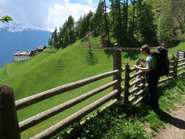 Sabine am Meraner Höhenweg zwischen Lahnbach und Pirchhof (19. Mai)