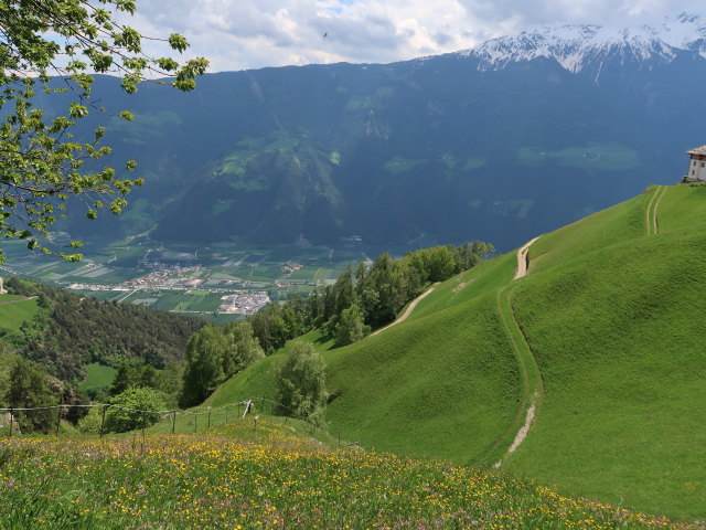 Vinschgau vom Meraner Höhenweg aus (19. Mai)