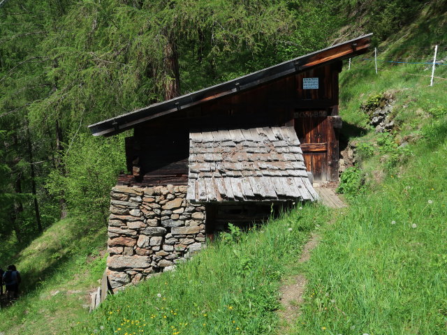 neben dem Meraner Höhenweg zwischen Pirchhof und Kirchbach (19. Mai)