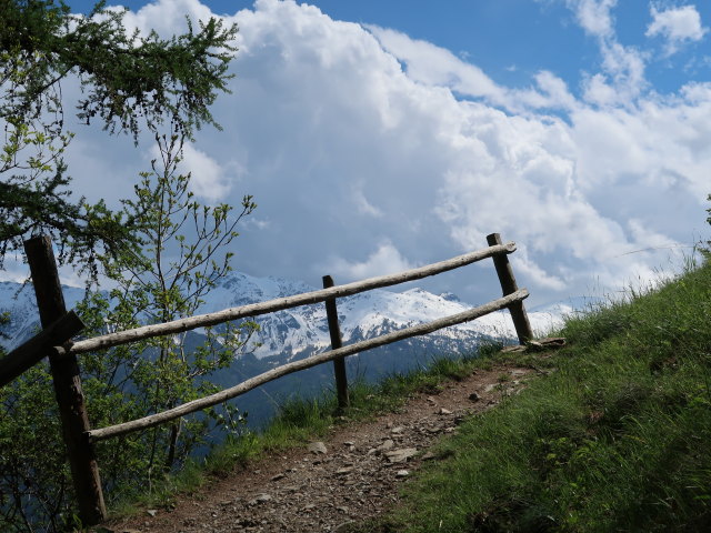 Meraner Höhenweg zwischen Galmein und Innerforch (19. Mai)