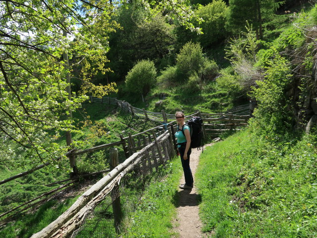 Sabine am Meraner Höhenweg zwischen Galmein und Innerforch (19. Mai)