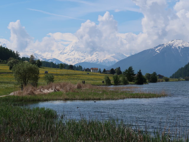 Haidersee, 1.450 m (20. Mai)