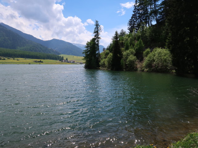 Haidersee, 1.450 m (20. Mai)