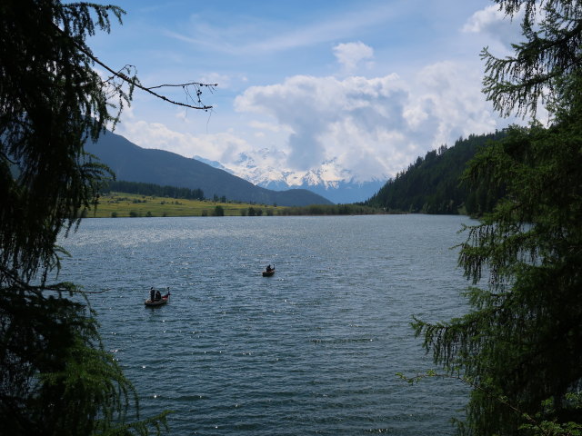 Haidersee, 1.450 m (20. Mai)