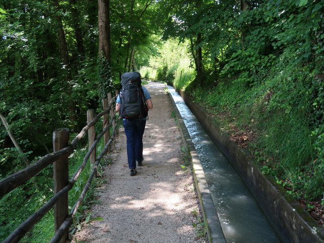 Sabine am Marlinger Waalweg zwischen Gasthaus Schönblick und Gasthof Waldschenke (22. Mai)