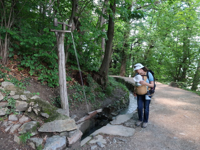 Nils und Sabine am Marlinger Waalweg zwischen Gasthof Waldschenke und Gasthaus Waalheim (22. Mai)