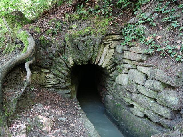 Marlinger Weg zwischen Gasthaus Waalheim und Lebenbergerbach (22. Mai)