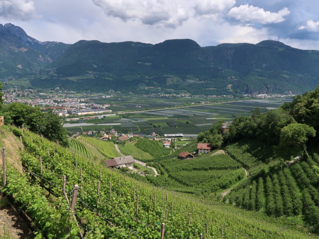 beim Marlinger Waalweg zwischen Gasthaus Waalheim und Lebenbergerbach (22. Mai)