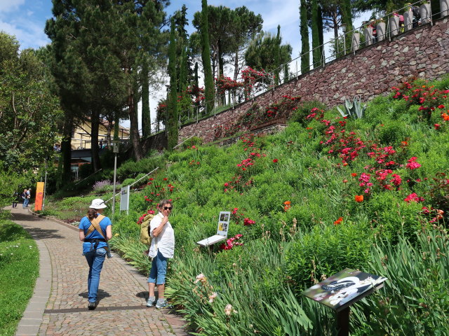 Sabine in den Gärten von Schloss Trauttmansdorff in Meran (24. Mai)