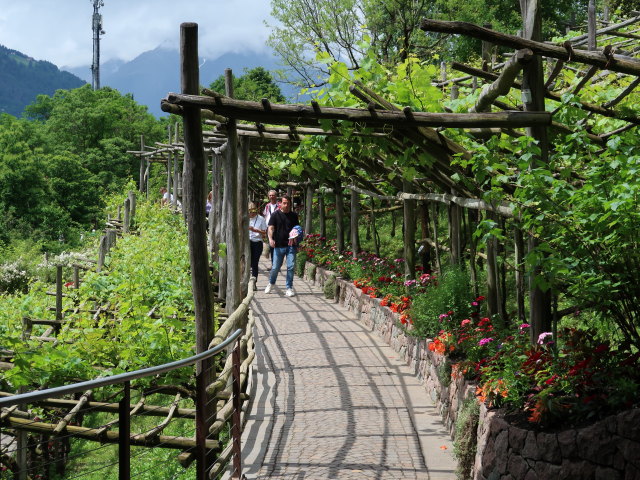 Gärten von Schloss Trauttmansdorff in Meran (24. Mai)