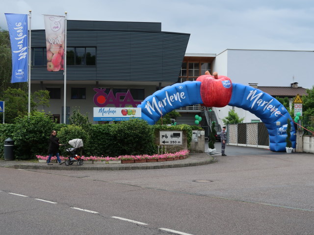 Sabine und Nils bei der Obstgenossenschaft CAFA Meran in Meran (25. Mai)