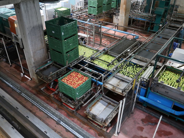 Obstgenossenschaft CAFA Meran in Meran (25. Mai)