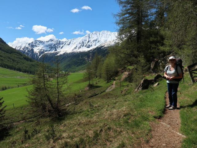 Sabine zwischen Kurzras und Lazaunbach (26. Mai)