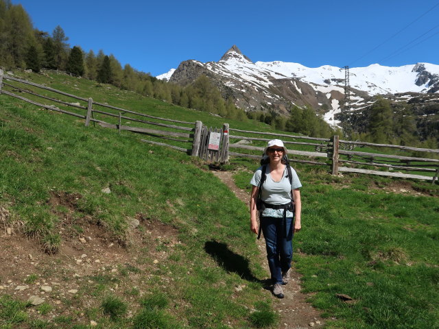 Sabine zwischen Lazaunbach und Lagaunbach (26. Mai)