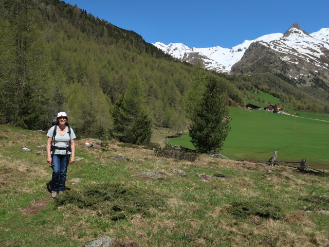 Sabine zwischen Lazaunbach und Lagaunbach (26. Mai)