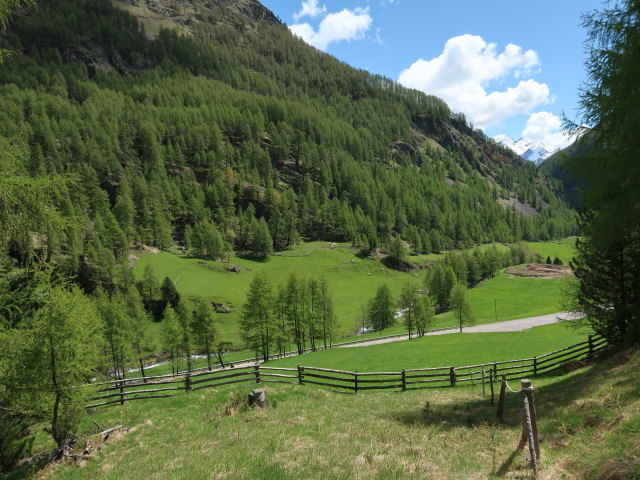 zwischen Lagaunbach und Gerstgras (26. Mai)