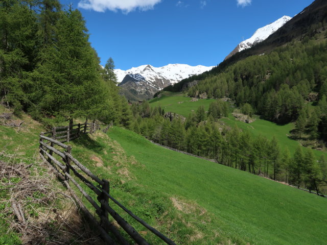 zwischen Lagaunbach und Gerstgras (26. Mai)