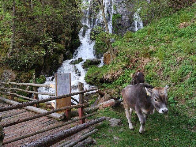 Mastaunbach (26. Mai)