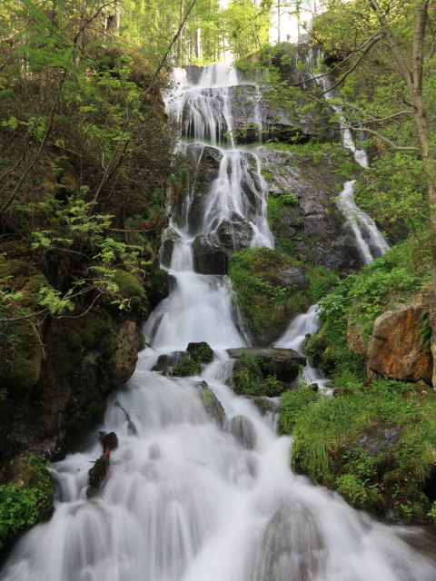 Mastaunbach (26. Mai)