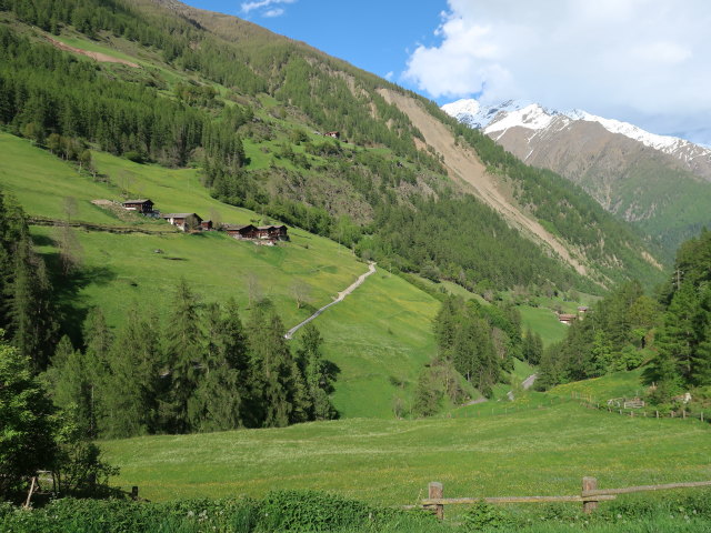 zwischen Oberraindlhof und Penaudbach (26. Mai)