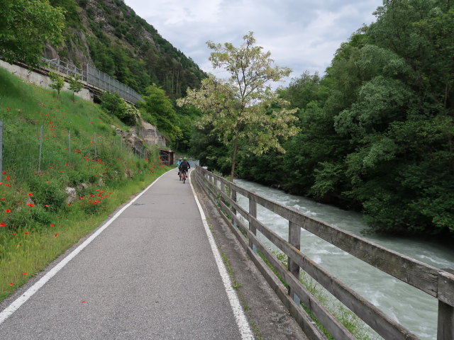 Etsch zwischen Latsch und Kastelbell (27. Mai)