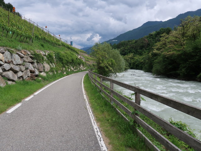 Etsch zwischen Latsch und Kastelbell (27. Mai)