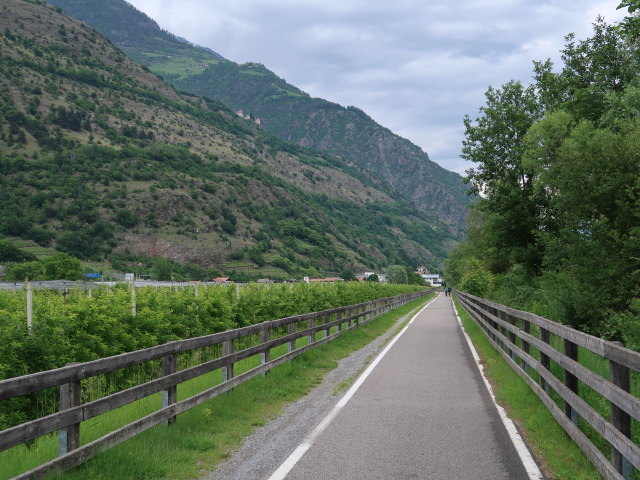 zwischen Tschars und Staben (27. Mai)