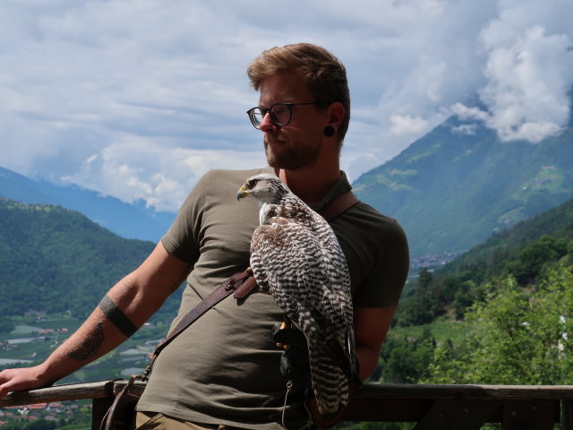 Vogelpflegezentrum im Schloss Tirol (28. Mai)