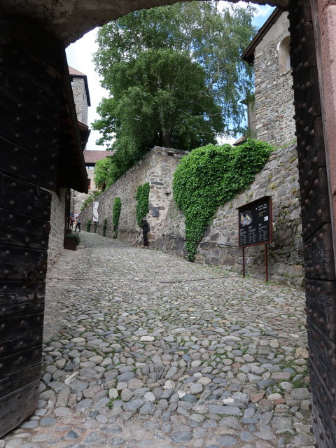 Schloss Tirol (28. Mai)