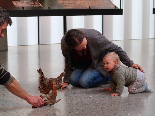 Sabine und Nils im Nationalparkhaus avimundus in Schlanders, 721 m (30. Mai)