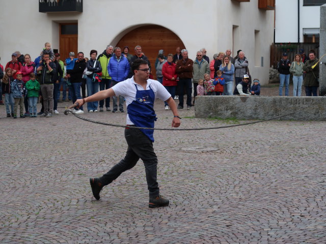 Haflingerfestival in Schluderns, 921 m (1. Juni)