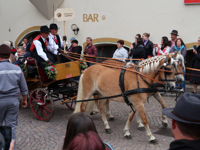 Haflingerfestival in Schluderns, 921 m (1. Juni)