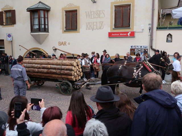 Haflingerfestival in Schluderns, 921 m (1. Juni)