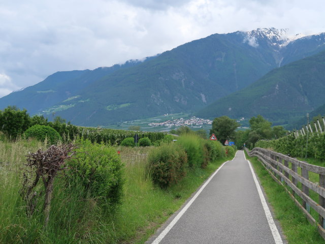 zwischen Goldrain und Latsch (27. Mai)