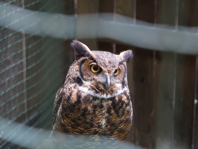 Vogelpflegezentrum im Schloss Tirol (28. Mai)