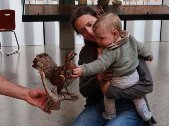 Sabine und Nils im Nationalparkhaus avimundus in Schlanders, 721 m (30. Mai)