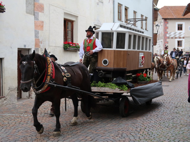 Haflingerfestival in Schluderns, 921 m (1. Juni)