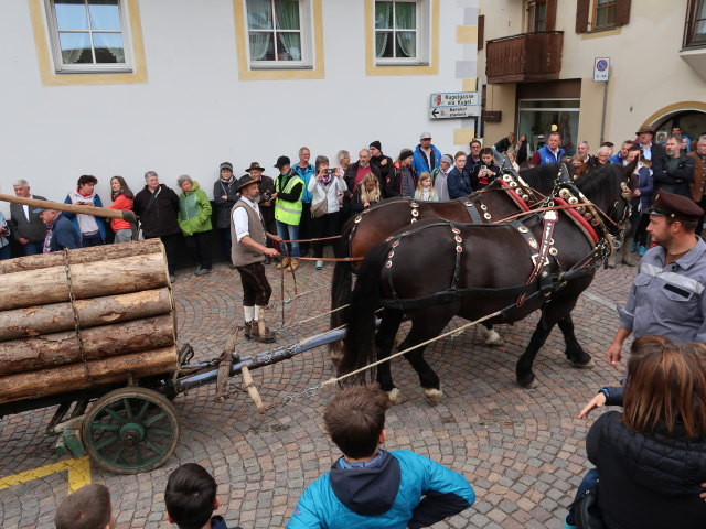 Haflingerfestival in Schluderns, 921 m (1. Juni)